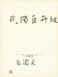 我独自升级小说