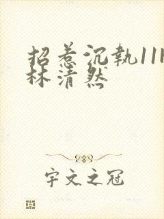 招惹沉执11H林清然