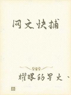 网文快捕