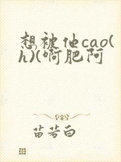 想被他cao(h)(啊肥阿