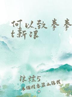 何以致拳拳txt新浪