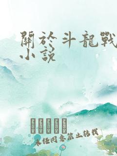 关于斗龙战士的小说