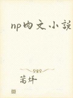 np肉文小说