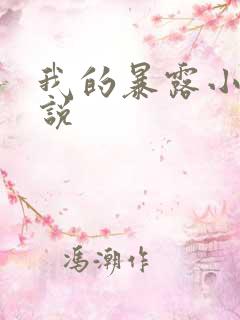 我的暴露小说小说