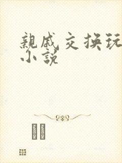 亲戚交换玩美妇小说