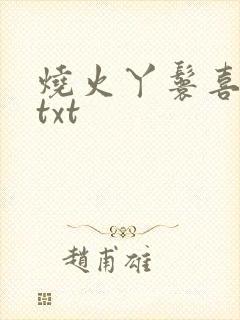 烧火丫鬟喜洋洋txt