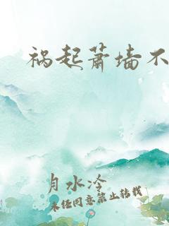 祸起萧墙不知戢