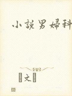 小说男妇科医生