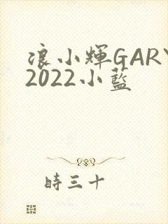 浪小辉GARY2022小蓝
