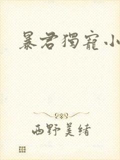 暴君独宠小俏后