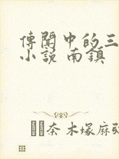 传闻中的三公主小说 南镇