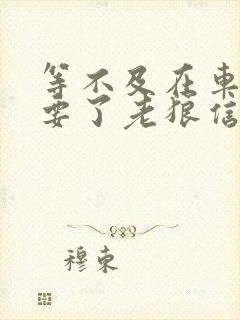 等不及在车里就要了老狼信息