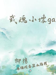 武魂小坏ga