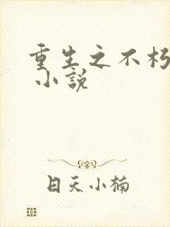 重生之不朽传奇 小说
