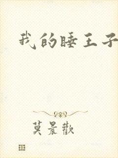 我的睡王子殿下