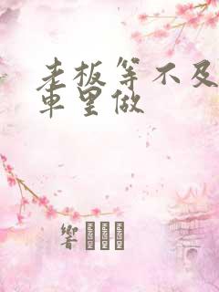 老板等不及了在车里做