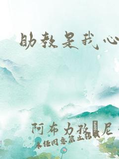 助教是我心尖宠