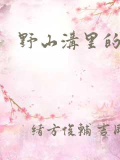 野山沟里的村庄