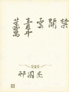 叶青云关禁闭一万年