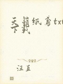天籁纸鸢txt下载