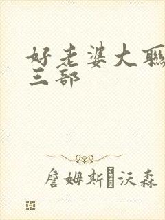 好老婆大联盟第三部