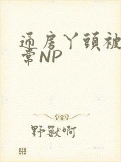 通房丫头被肉日常NP