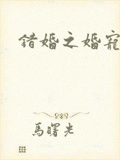 错婚之婚宠一世