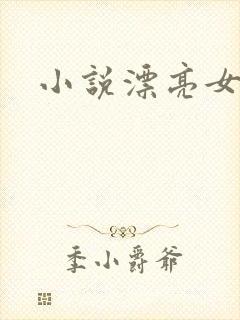 小说漂亮女局长