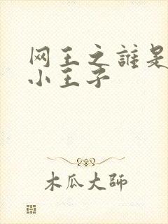 网王之谁是我的小王子