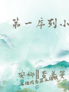 第一序列小说