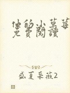 他的小草莓全文免费阅读