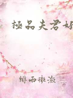 极品夫君好又多