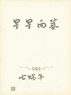 星星向蓉