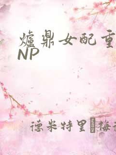 炉鼎女配重生之NP
