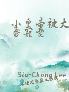 小皇帝被大臣轮番宠爱