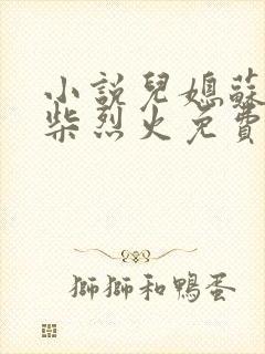 小说儿媳苏玥干柴烈火免费阅读