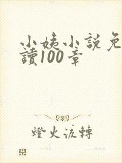 小姨小说免费阅读100章