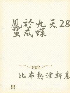 凤于九天28破茧成蝶