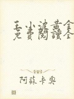 王小波黄金时代免费阅读全文