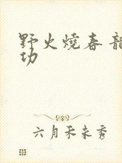 野火烧春 龙鸣功