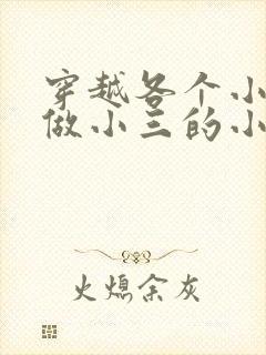 穿越各个小世界做小三的小说