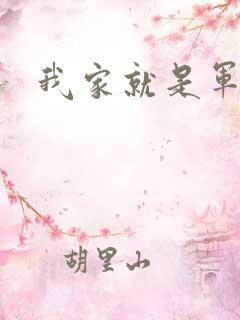 我家就是军火铺