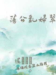 荡公乱妇翠翠