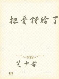 把爱错给了你