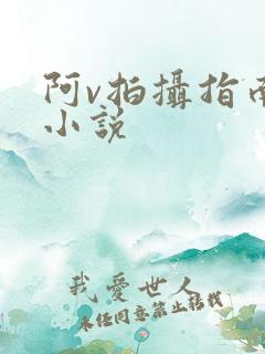 阿v拍摄指南说小说