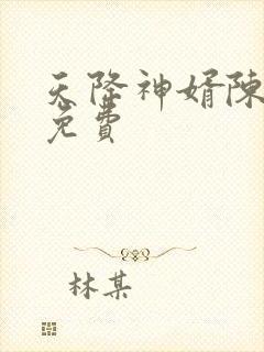 天降神婿陈黄皮免费