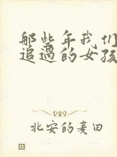 那些年我们一起追过的女孩小说