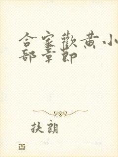 合家欢黄小梅全部章节