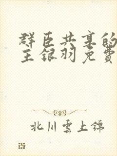 群臣共享的小公主银羽免费阅读