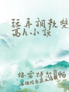 玩弄调教双胞胎高h小说